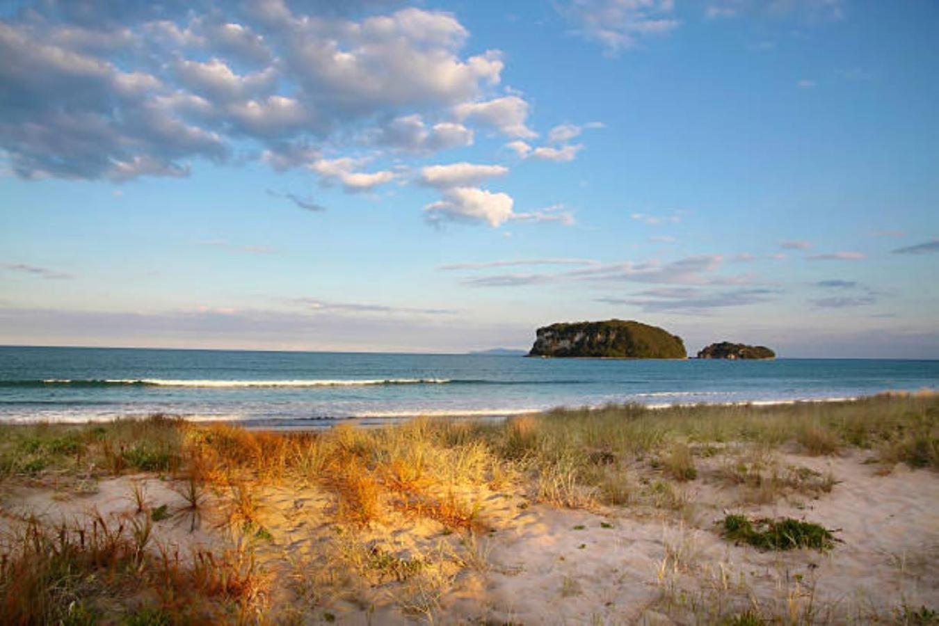 Joy'S Rest Cabin - Whangamata Otel Dış mekan fotoğraf